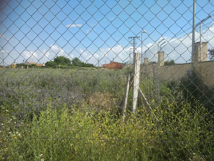Foto 6 - El PP califica de dejadez la situaci&oacute;n generada en el parque El Inestal y pide mayor actuaci&oacute;n y...