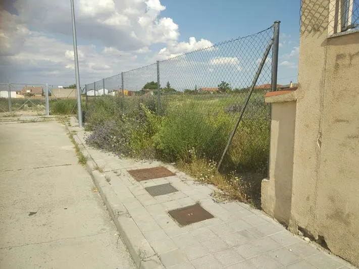 Foto 4 - El PP califica de dejadez la situaci&oacute;n generada en el parque El Inestal y pide mayor actuaci&oacute;n y...