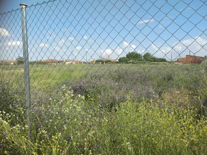 Foto 2 - El PP califica de dejadez la situaci&oacute;n generada en el parque El Inestal y pide mayor actuaci&oacute;n y...