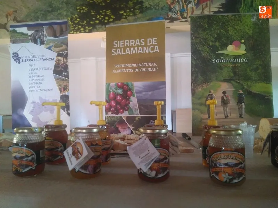 Foto 8 - La Ruta del Vino se adentra en el verano en San Miguel de Valero