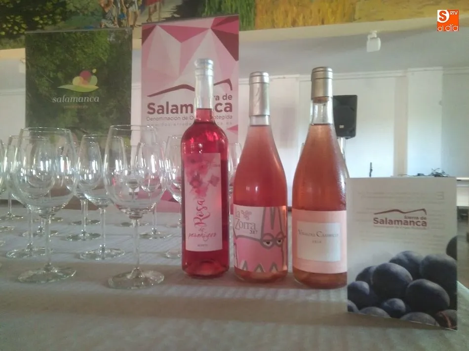 Foto 6 - La Ruta del Vino se adentra en el verano en San Miguel de Valero