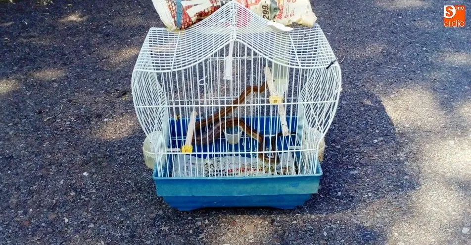 El bastardo quedó atrapado en el interior de la jaula al engullir el canario