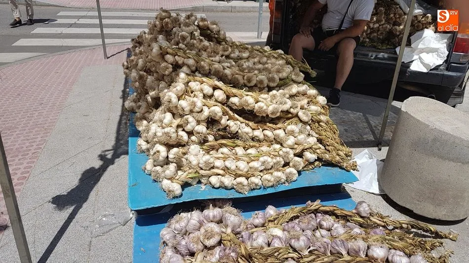 Foto 4 - Los puestos de ajos, tradicional cita anual en los alrededores del Mercado de San Juan