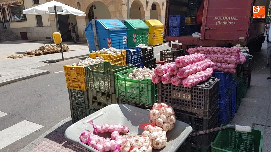 Foto 6 - Los puestos de ajos, tradicional cita anual en los alrededores del Mercado de San Juan