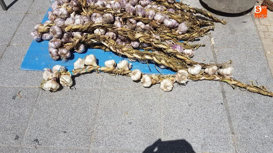 Foto 3 - Los puestos de ajos, tradicional cita anual en los alrededores del Mercado de San Juan