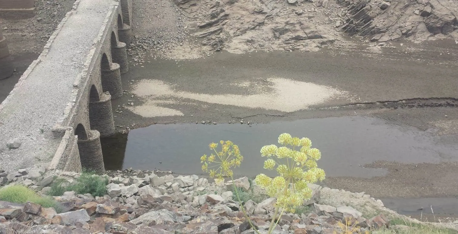 Así luce también bajo mínimos el entorno de los puentes del Risco de Martiago  