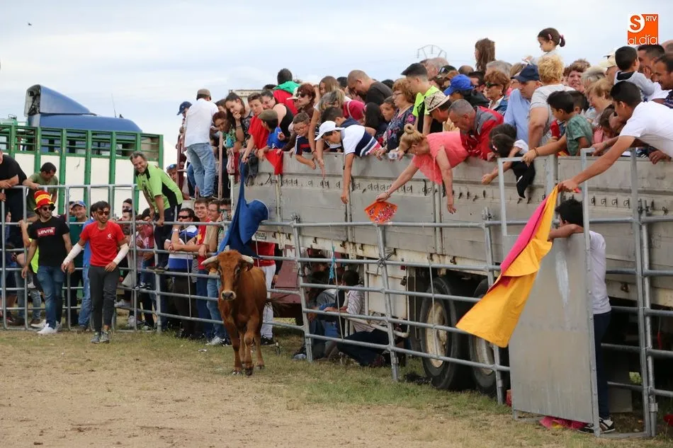 Foto 11 - Bonito festejo taurino en Villar de Peralonso con motivo de las fiestas de San Pedro  