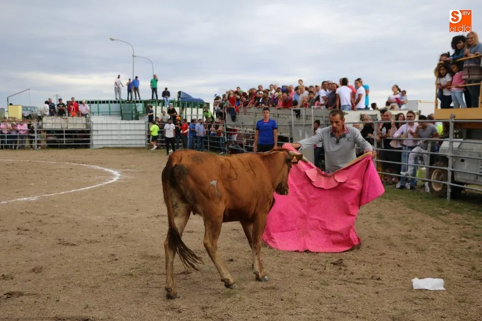 Foto 8 - Bonito festejo taurino en Villar de Peralonso con motivo de las fiestas de San Pedro  