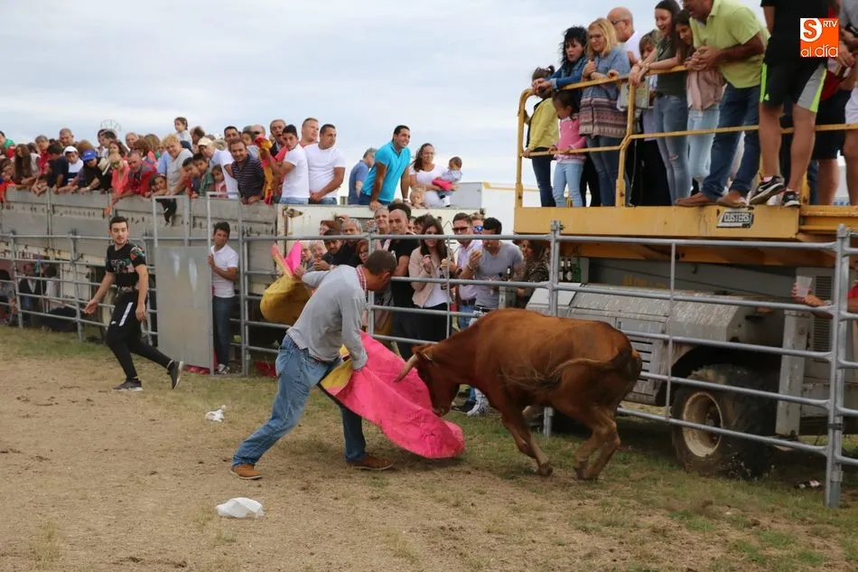 Foto 7 - Bonito festejo taurino en Villar de Peralonso con motivo de las fiestas de San Pedro  