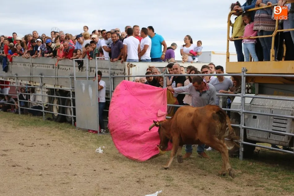 Foto 6 - Bonito festejo taurino en Villar de Peralonso con motivo de las fiestas de San Pedro  