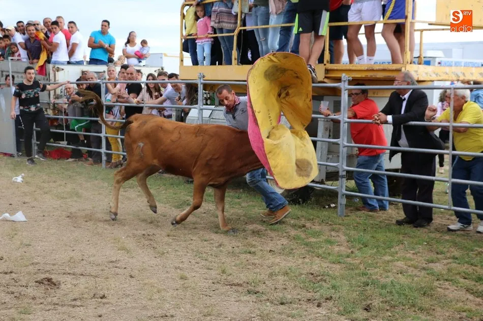 Foto 5 - Bonito festejo taurino en Villar de Peralonso con motivo de las fiestas de San Pedro  