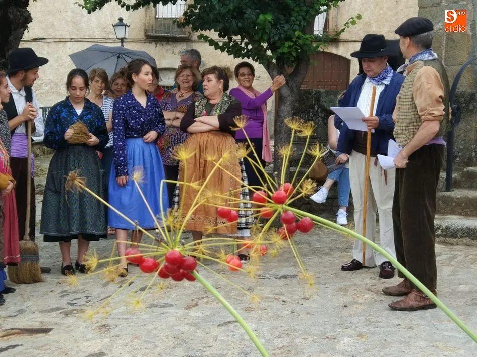 Foto 4 - Villanueva del Conde arrienda sus calles y cumple con la tradici&oacute;n
