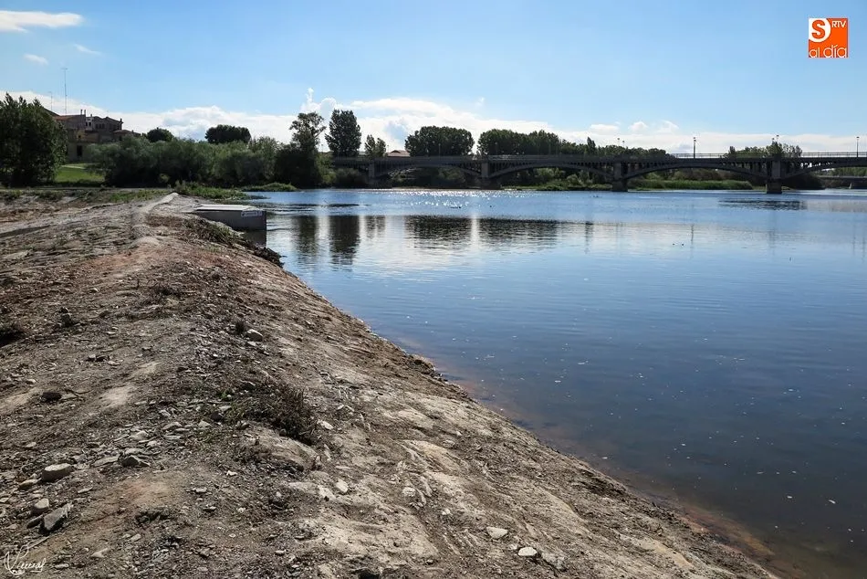 Foto 5 - La reparaci&oacute;n de la pesquera del Tormes va tomando forma