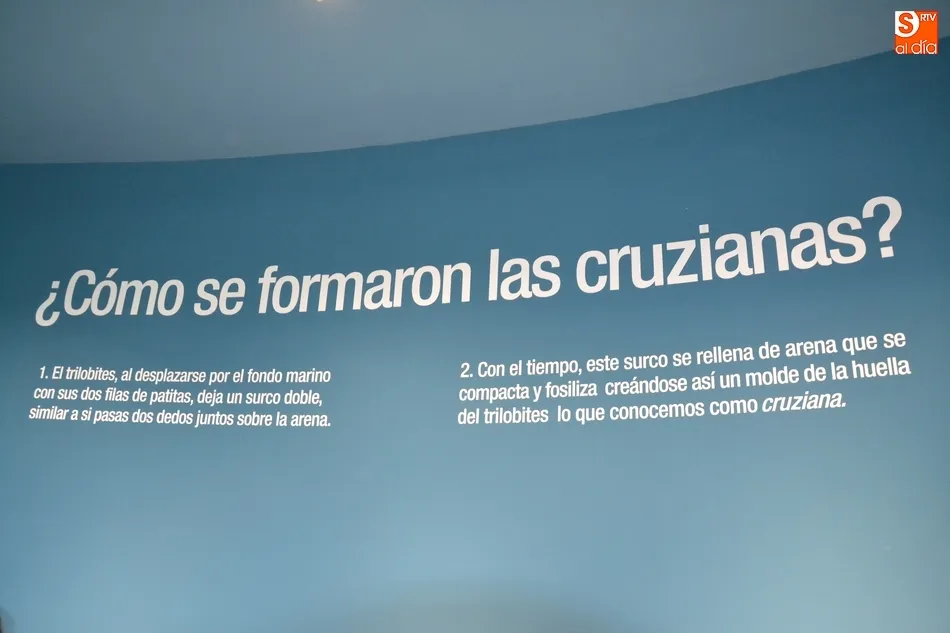 Foto 10 - Monsagro inaugura su Centro de Interpretaci&oacute;n para confirmarse como la &lsquo;Capital del Mar&rsquo; de la ...