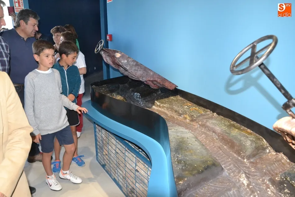 Foto 8 - Monsagro inaugura su Centro de Interpretaci&oacute;n para confirmarse como la &lsquo;Capital del Mar&rsquo; de la ...