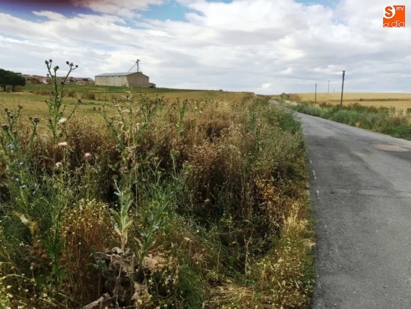 Foto 5 - El Ayuntamiento declina reparar la carretera de Amatos de Alba