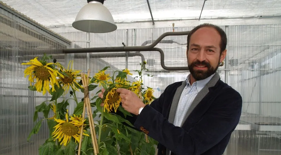Óscar Lorenzo, en el invernadero del CIALE.