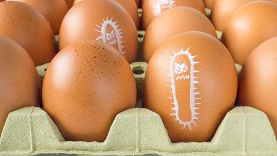 La temperatura, la humedad y el tiempo son los tres factores que más influyen en la proliferación de los gérmenes