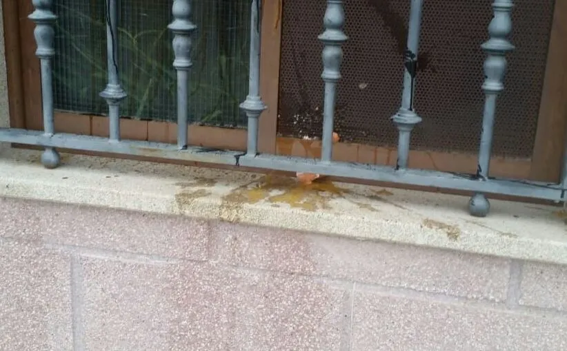 Denuncian varios actos de vandalismo en Las Canteras y al final de la Avenida de Béjar  