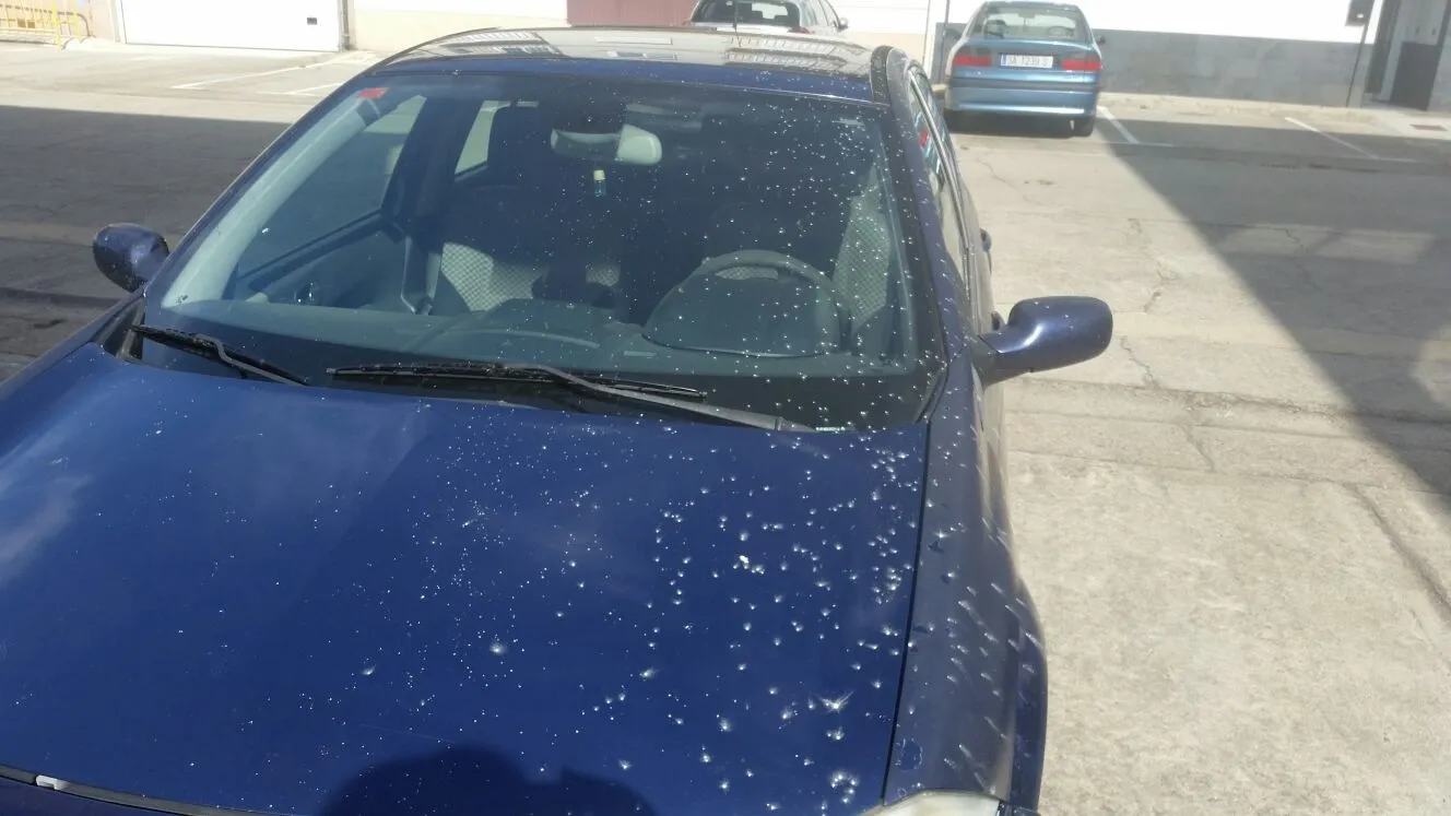 Foto 4 - Denuncian varios actos de vandalismo en Las Canteras y al final de la Avenida de B&eacute;jar  
