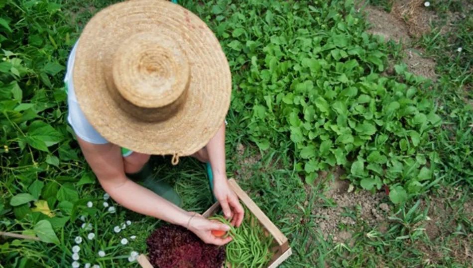 La convocatoria de este premio pretende apoyar la creación o el mantenimiento del empleo de las mujeres en el entorno rural