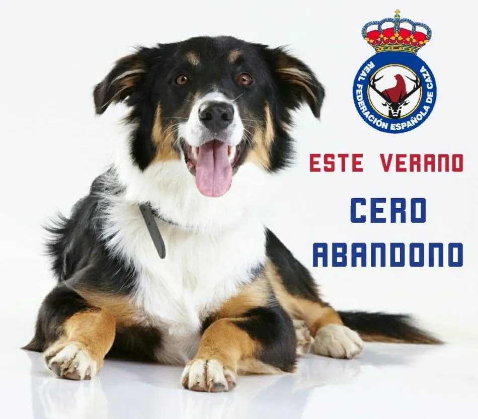 Foto 2 - La RFEC lanza la campa&ntilde;a de sensibilizaci&oacute;n #CeroAbandono  