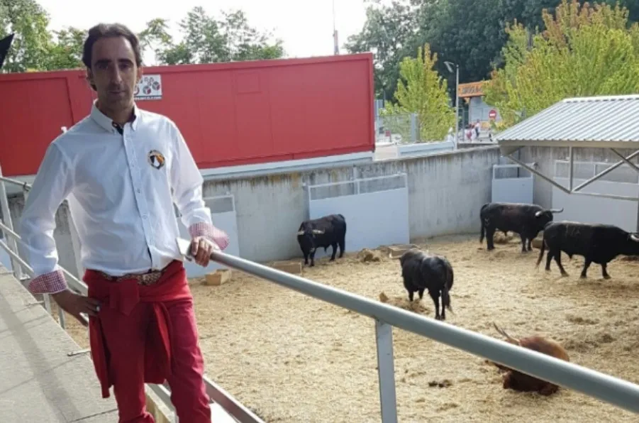 Las cabezas de toros de los Sanfermines acabarán de nuevo en la comarca mirobrigense  