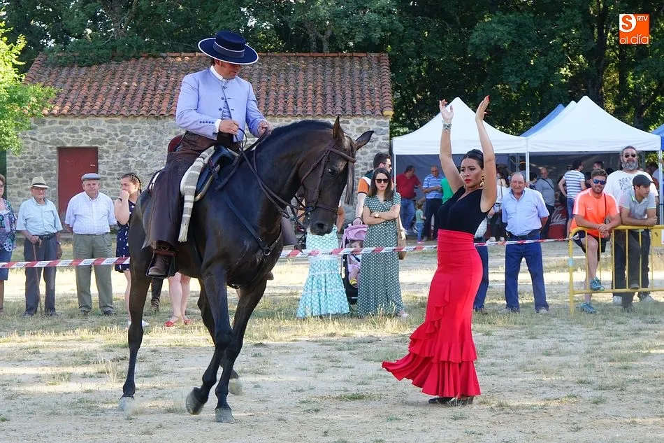 Foto 11 - Linares de Riofr&iacute;o vive con emoci&oacute;n el mundo del caballo