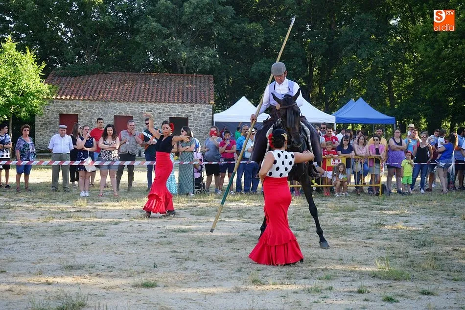 Foto 10 - Linares de Riofr&iacute;o vive con emoci&oacute;n el mundo del caballo