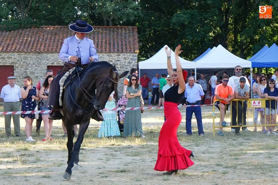 Foto 4 - Linares de Riofr&iacute;o vive con emoci&oacute;n el mundo del caballo