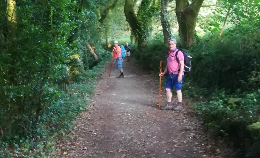 Foto 3 - Cinco mirobrigenses afrontan el Ep&iacute;logo del Camino de Santiago  