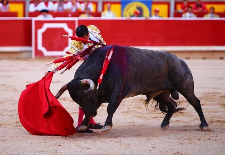 Foto 8 - Casta&ntilde;o resulta herido tras una espeluznante cogida en el bajo vientre al entrar a matar al cuarto ...