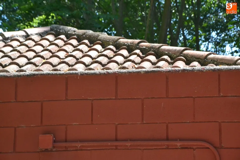 Foto 4 - El Ayuntamiento acomete varias mejoras en el Camping Municipal, que sigue creciendo en uso  