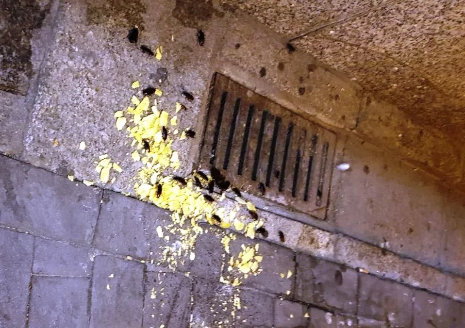 Alcantarilla de la Plaza Mayor