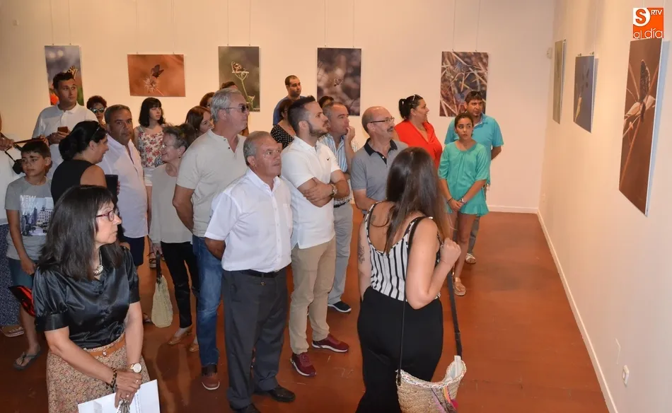 La Casa de la Cultura se llena de mariposas y libélulas de la mano de Kuki Segovia  