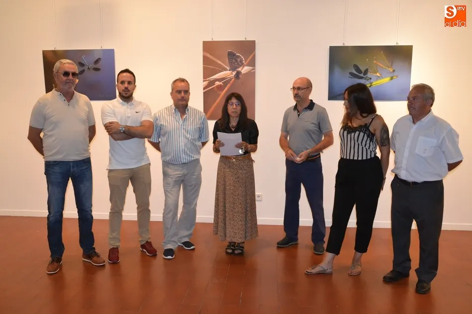 Foto 6 - La Casa de la Cultura se llena de mariposas y lib&eacute;lulas de la mano de Kuki Segovia  