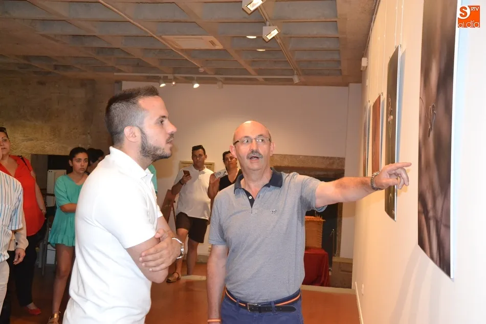 Foto 4 - La Casa de la Cultura se llena de mariposas y lib&eacute;lulas de la mano de Kuki Segovia  