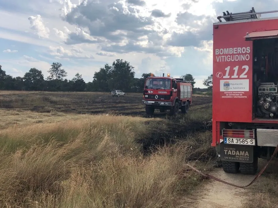 Foto 4 - Sofocado un incendio en Bogajo  