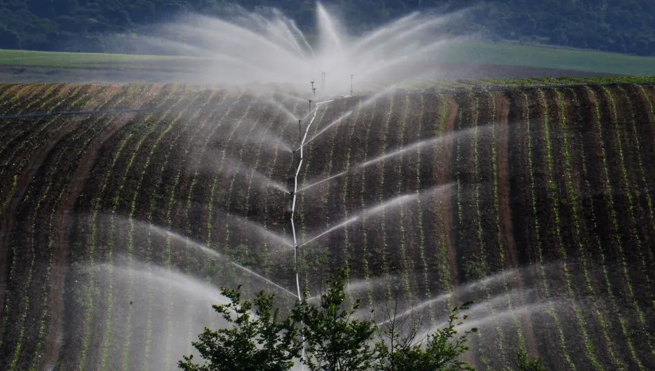 Geometrías de la germinación