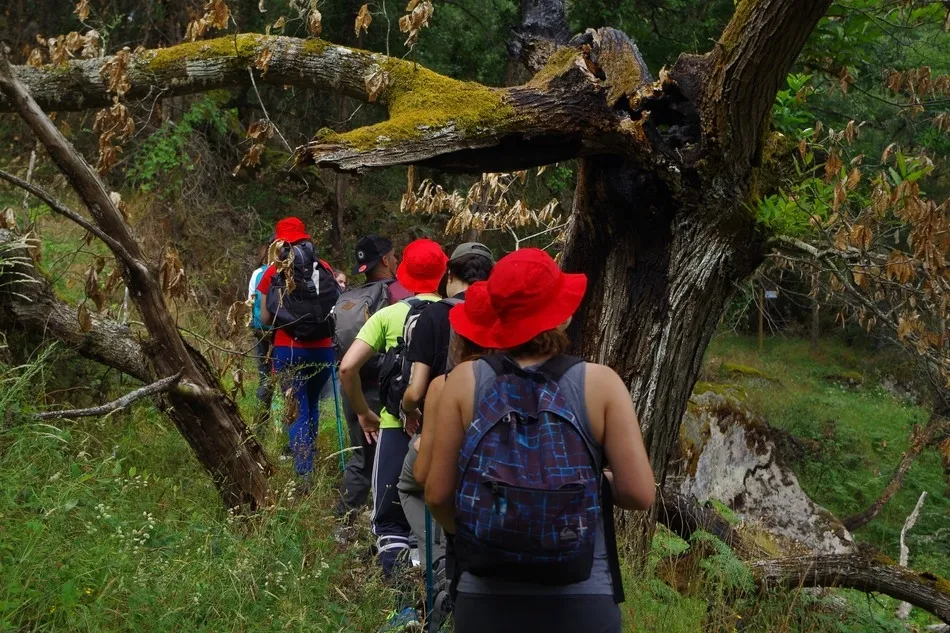 Foto 3 - Los senderistas del proyecto Enlazados culminan el recorrido del GR 14 en Freixo de Espada a Cinta  