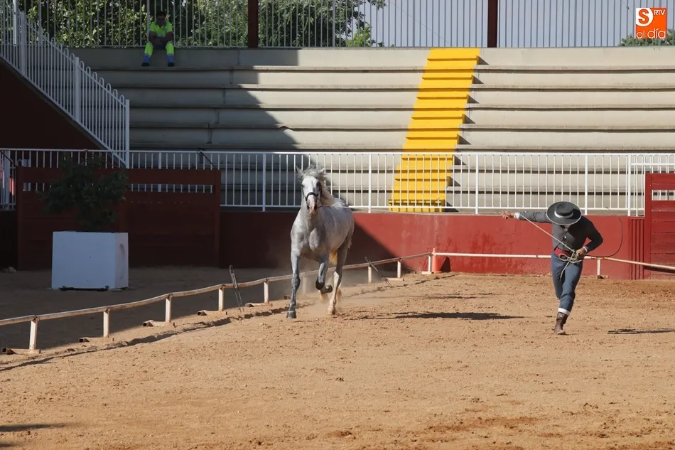 Foto 6 - Los mejores caballos de pura raza espa&ntilde;ola, protagonistas en el recinto ferial hasta el domingo