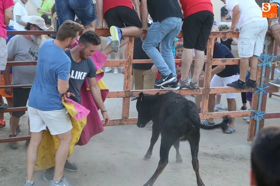 Foto 9 - Recorrido abarrotado en el primer toro de caj&oacute;n de las fiestas