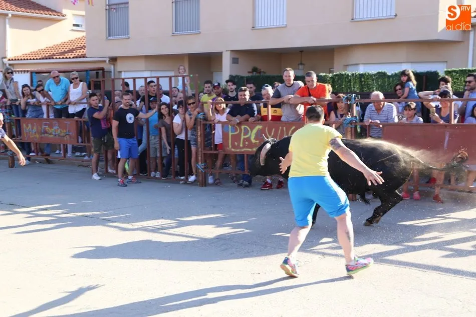 Foto 6 - Recorrido abarrotado en el primer toro de caj&oacute;n de las fiestas