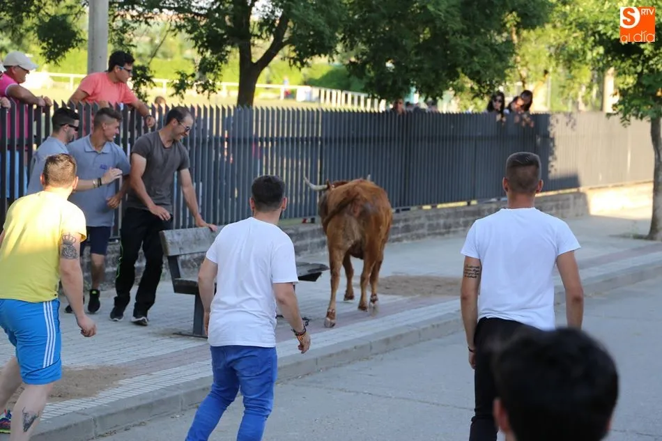 Foto 4 - Recorrido abarrotado en el primer toro de caj&oacute;n de las fiestas
