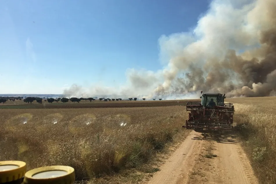 Foto 6 - Sofocado un incendio accidental de rastrojos en Anaya de Alba
