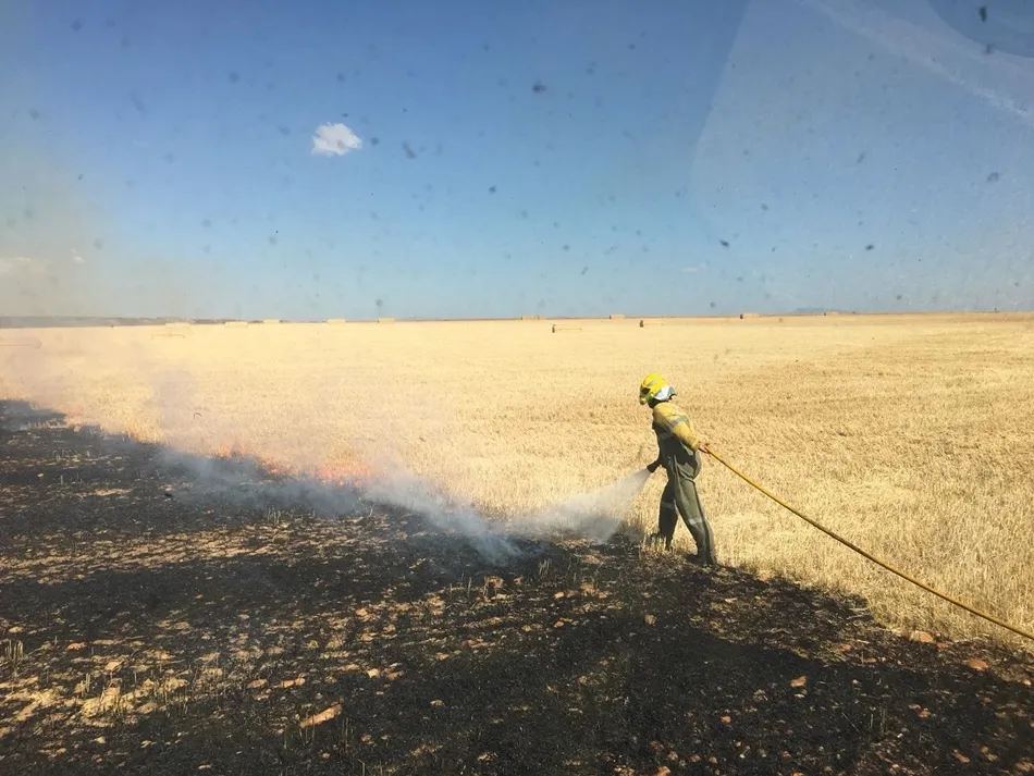 Foto 7 - Sofocado un incendio accidental de rastrojos en Anaya de Alba