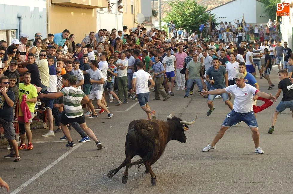 Multitud de personas presenciaron el espectáculo dentro y fuera de las agujas | Fotos Adrián Martín