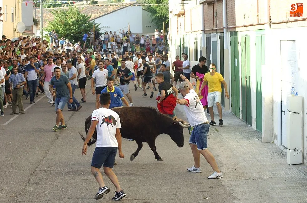 Foto 11 - El Barrio Nuevo hace historia con su multitudinario encierro veraniego  