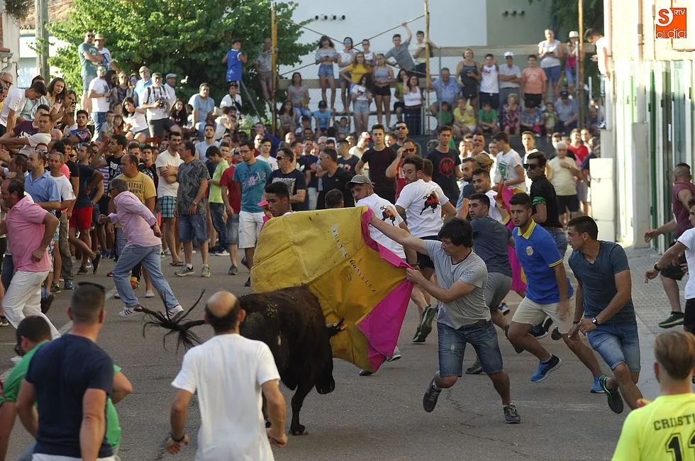 Foto 4 - El Barrio Nuevo hace historia con su multitudinario encierro veraniego  
