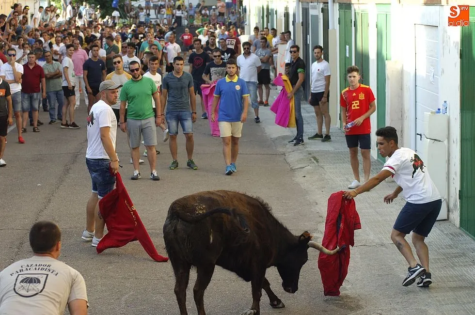 Foto 3 - El Barrio Nuevo hace historia con su multitudinario encierro veraniego  